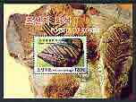 North Korea 2004 Fossils perf m/sheet cto used, stamps on fossils, stamps on 