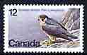 Canada 1978 Endangered Wildlife (2nd series - Perigrine Falcon) unmounted mint SG 906, stamps on birds, stamps on birds of prey