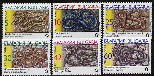 Bulgaria 1989 Snakes set of 6 unmounted mint SG 3638-43 (Mi 3784-89), stamps on animals   reptiles     snakes, stamps on snake, stamps on snakes, stamps on 