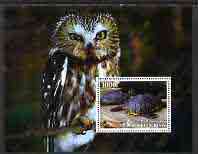 Benin 2005 Turtles #1 perf s/sheet (with owl as background) fine cto used, stamps on , stamps on  stamps on birds, stamps on  stamps on birds of prey, stamps on  stamps on owls, stamps on  stamps on turtles, stamps on  stamps on reptiles
