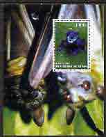 Benin 2005 Frogs #4 perf s/sheet (with Bat as background) fine cto used, stamps on frogs, stamps on bats, stamps on mammals, stamps on reptiles