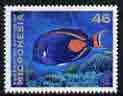 Micronesia 1993-96 Red-tailed Surgeonfish 46c unmounted mint, SG 285a, stamps on fish, stamps on 