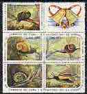Cuba 1961 Christmas (Snails) the set of 5 x 1c values plus label) unmounted mint, SG 999 & 1002a/d, stamps on snails, stamps on shells, stamps on christmas