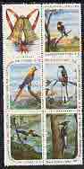 Cuba 1961 Christmas (Birds) the set of 5 x 2c values plus label) unmounted mint, SG 1000 & 1003a/d, stamps on , stamps on  stamps on christmas, stamps on  stamps on birds, stamps on  stamps on woodpeckers, stamps on  stamps on humming-birds, stamps on  stamps on hummingbirds