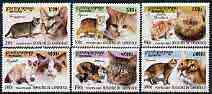 Cambodia 2001 Domestic Cats perf set of 6 unmounted mint SG 2163-68, stamps on cats
