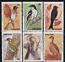 Zimbabwe 1992 Birds perf set of 6 unmounted mint, SG 832-37*, stamps on birds, stamps on bulbul, stamps on shrike, stamps on hornbill, stamps on woodpeckers