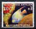 Netherlands Antilles 1960 Tropical Fish 20c+3c (from Cancer Fund set) unmounted mint, SG 422, stamps on , stamps on  stamps on fish, stamps on  stamps on cancer, stamps on  stamps on diseases