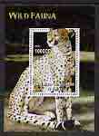 Congo 2005 Wild Fauna (Cheetah) perf m/sheet unmounted mint, stamps on , stamps on  stamps on cats, stamps on  stamps on cheetahs