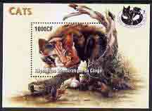 Congo 2005 Domestic Cats perf m/sheet unmounted mint, stamps on cats