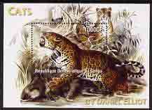 Congo 2005 Wild Cats by Daniel Elliot perf m/sheet unmounted mint, stamps on cats