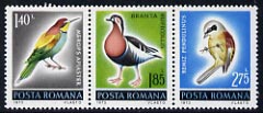 Rumania 1973 the 3 bird values from Protection of Nature set unmounted mint, SG 3979-81, stamps on , stamps on  stamps on birds, stamps on  stamps on bee eater, stamps on  stamps on goose, stamps on  stamps on tit