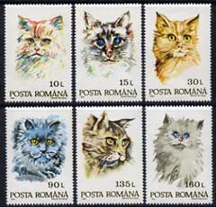 Rumania 1993 Domestic Cats set of 6 unmounted mint, SG 5520-25, stamps on , stamps on  stamps on cats