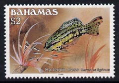 Bahamas 1986-90 Harlequin Bass $2 (1988 imprint date) mmh, SG 770B, stamps on , stamps on  stamps on fish