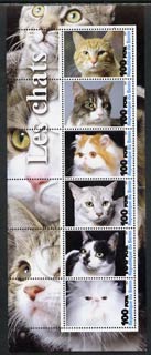 Benin 2003 Domestic Cats #01 perf sheetlet containing 6 values unmounted mint, stamps on cats