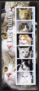 Benin 2003 Domestic Cats #01 imperf sheetlet containing 6 values unmounted mint, stamps on cats
