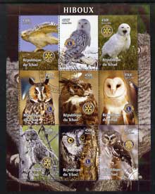 Chad 2004 Owls perf sheetlet containing 9 values each with Rotary or Lions Int Logos fine cto used, stamps on , stamps on  stamps on birds, stamps on  stamps on birds of prey, stamps on  stamps on owls, stamps on  stamps on lions int, stamps on  stamps on rotary