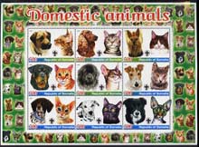 Somalia 2005 Domestic Animals #2 (Cats & Dogs) perf sheetlet containing 9 values unmounted mint, stamps on , stamps on  stamps on cats, stamps on  stamps on dogs