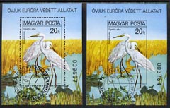 Hungary 1980 protected birds m/sheet perf & imperf both fine used, Mi BL 146A & B cat Dm 100, stamps on birds