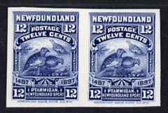Newfoundland 1897 Willow Grouse 12c blue IMPERF plate proof pair on thin card (from 400th Anniversary set) ex ABNCo archives (as SG 74), stamps on , stamps on  stamps on birds
