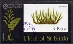 St Kilda 1969 Flowers 5s (Fir Clubmoss) imperf souvenir sheet cto used, stamps on , stamps on  stamps on flowers