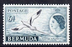 Bermuda 1953-62 Tropic Bird 6d from def set unmounted mint SG 143*, stamps on birds