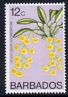 Barbados 1975-79 Dendrobium aggregatum 12c Orchid unmounted mint SG 516, stamps on , stamps on  stamps on flowers, stamps on  stamps on orchids