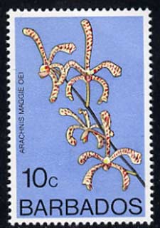 Barbados 1975-79 Arachnis maggie oei 10c Orchid unmounted mint SG 515, stamps on flowers, stamps on orchids