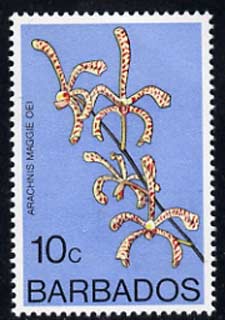 Barbados 1975-79 Arachnis maggie oei 10c Orchid unmounted mint SG 515, stamps on , stamps on  stamps on flowers, stamps on  stamps on orchids