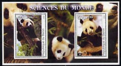 Benin 2002 Pandas perf m/sheet containing 2 values each with Scout Logo, unmounted mint, stamps on , stamps on  stamps on animals, stamps on  stamps on bears, stamps on  stamps on pandas, stamps on  stamps on scouts