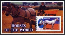 Somalia 2002 Horses of the World perf m/sheet #6 unmounted mint, stamps on horses