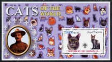 Somalia 2002 Domestic Cats of the World perf s/sheet #05 with Scout Logo & Baden Powell in background, unmounted mint, stamps on , stamps on  stamps on cats, stamps on  stamps on scouts