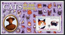 Somalia 2002 Domestic Cats of the World perf s/sheet #06 with Scout Logo & Baden Powell in background, unmounted mint, stamps on , stamps on  stamps on cats, stamps on  stamps on scouts