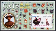 Somalia 2002 Domestic Cats of the World perf s/sheet #10 with Scout Logo & Baden Powell in background, unmounted mint, stamps on cats, stamps on scouts