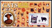 Somalia 2002 Domestic Cats of the World perf s/sheet #11 with Scout Logo & Baden Powell in background, unmounted mint, stamps on , stamps on  stamps on cats, stamps on  stamps on scouts