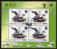 North Korea 2004 WWF - Swan Goose perf sheetlet containing 4 x 104w values fine cto used, stamps on birds, stamps on  wwf , stamps on geese