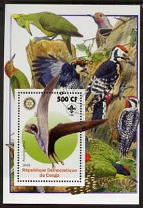 Congo 2005 Dinosaurs #05 - Anurognathus perf m/sheet with Scout & Rotary Logos, background shows various Woodpeckers fine cto used, stamps on scouts, stamps on rotary, stamps on dinosaurs, stamps on animals, stamps on birds, stamps on woodpeckers