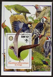 Congo 2005 Dinosaurs #05 - Anurognathus perf m/sheet with Scout & Rotary Logos, background shows various Woodpeckers fine cto used, stamps on , stamps on  stamps on scouts, stamps on  stamps on rotary, stamps on  stamps on dinosaurs, stamps on  stamps on animals, stamps on  stamps on birds, stamps on  stamps on woodpeckers