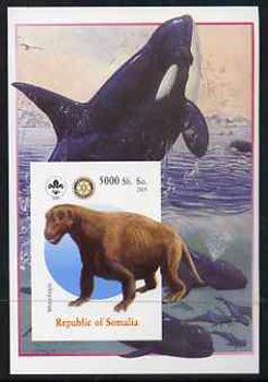 Somalia 2005 Dinosaurs #04 - Moschops imperf m/sheet with Scout & Rotary Logos, background shows Whales unmounted mint, stamps on , stamps on  stamps on scouts, stamps on  stamps on rotary, stamps on  stamps on dinosaurs, stamps on  stamps on animals, stamps on  stamps on whales