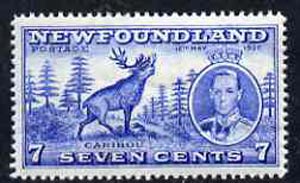 Newfoundland 1937 KG6 Coronation 7c Reindeer line perf 14 unmounted mint, SG 259, stamps on , stamps on  stamps on animals, stamps on  stamps on deer