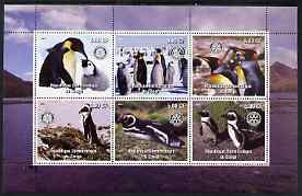 Congo 2003 Penguins perf sheetlet containing 6 values each with Rotary Logo, unmounted mint, stamps on birds, stamps on penguins, stamps on polar, stamps on rotary