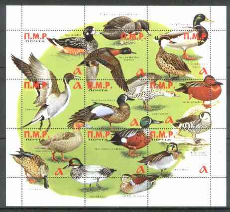 Dnister Moldavian Republic (NMP) 1999 Ducks perf sheetlet containing set of 9 values unmounted mint, stamps on , stamps on  stamps on birds    ducks