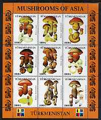 Turkmenistan 1999 Mushrooms of Asia #1 perf sheetlet containing set of 9 values with IBRA imprint unmounted mint, stamps on stamp exhibitions, stamps on fungi