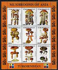 Turkmenistan 1999 Mushrooms of Asia #2 perf sheetlet containing set of 9 values with IBRA imprint unmounted mint, stamps on stamp exhibitions, stamps on fungi