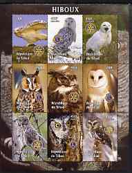 Chad 2004 Owls perf sheetlet containing 9 values each with Rotary or Lions Int Logos unmounted mint, stamps on , stamps on  stamps on birds, stamps on  stamps on birds of prey, stamps on  stamps on owls, stamps on  stamps on lions int, stamps on  stamps on rotary