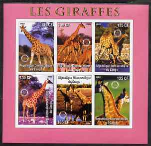 Congo 2003 Giraffes imperf sheetlet #02 (pink border) containing 6 values each with Rotary Logo, unmounted mint, stamps on , stamps on  stamps on rotary, stamps on  stamps on animals, stamps on  stamps on giraffes