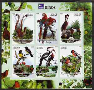 Congo 2005 Audubon Birds imperf sheetlet (with RSPB logo) containing 6 values unmounted mint, stamps on , stamps on  stamps on birds, stamps on  stamps on audubon, stamps on  stamps on parrots, stamps on  stamps on 