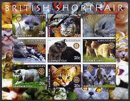 Kyrgyzstan 2004 Domestic Cats - British Shorthair imperf sheetlet containing 9 values each with Rotary logo unmounted mint, stamps on , stamps on  stamps on cats, stamps on  stamps on rotary