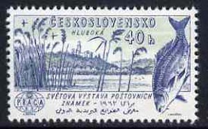 Czechoslovakia 1961 Hluboka Castle 40h unmounted mint from 'Praga 62' International Stamp Ex set, SG1252, stamps on fish, stamps on exhibitions, stamps on castles
