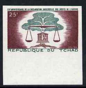 Chad 1963 Human Rights 25f marginal imperf single unmounted mint, as SG106, stamps on , stamps on  stamps on human rights, stamps on  stamps on justice