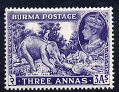 Burma 1946 Elephant & Teak 3a blue-violet unmounted mint, SG 57a*, stamps on , stamps on  stamps on , stamps on  stamps on  kg6 , stamps on  stamps on elephants, stamps on  stamps on teak, stamps on  stamps on wood, stamps on  stamps on timber